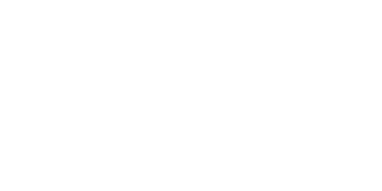 Partner 5